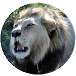africa004