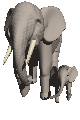 animal001