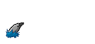 fish003